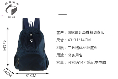 国家统计局成都调查队定制多用折叠背包