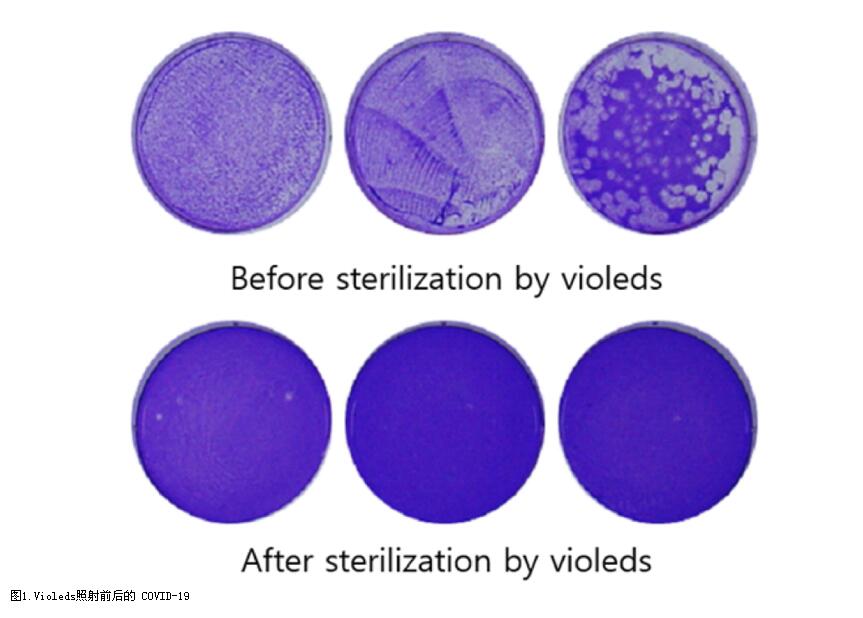 再次证明有效!UVC LED可在30秒内杀死99.9%的新型冠状病毒
