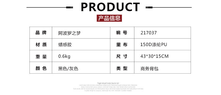 Apollo dream商务休闲可充电USB双肩背包